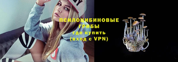 спиды Алексеевка