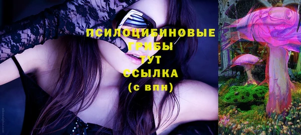 спиды Алексеевка