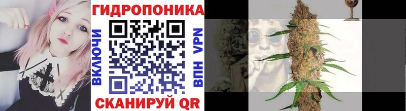 купить  сайты  Могоча  Каннабис Bruce Banner 